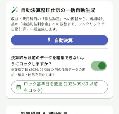 決算を実行した直後の設定画面。ロックのスイッチがオンになり、保護指定日は2026/09/30