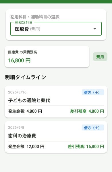 BokiBookの総勘定元帳。医療費の明細が並んでいる